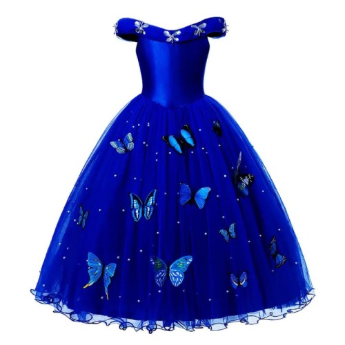 Blue Cinderella