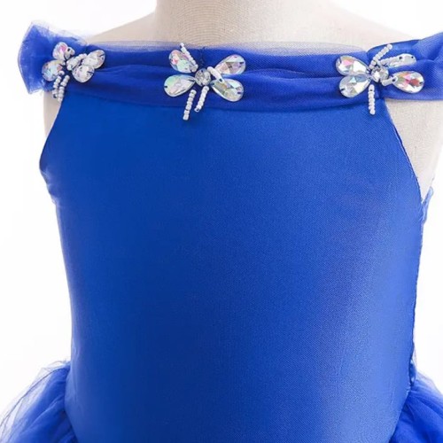 Blue Cinderella