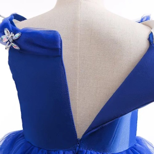 Blue Cinderella