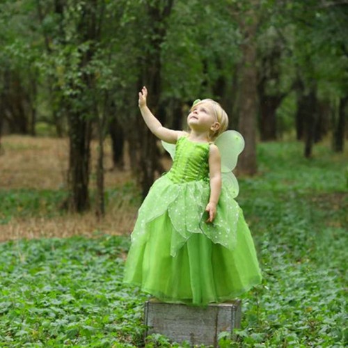 Tinkerbell Full Set