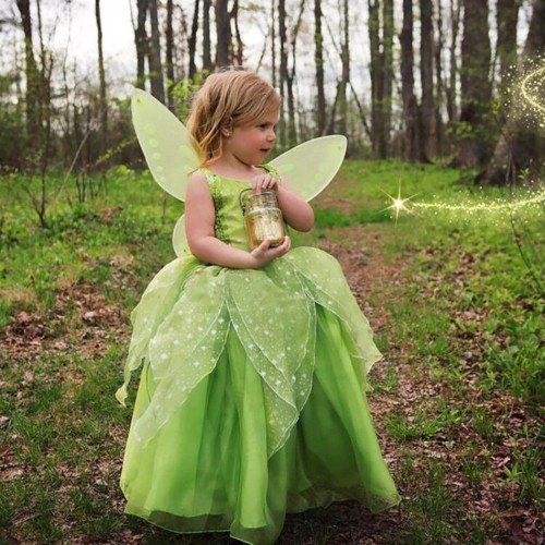 Tinkerbell Full Set