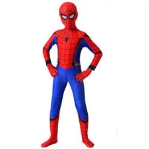 Spiderman Costume Blue