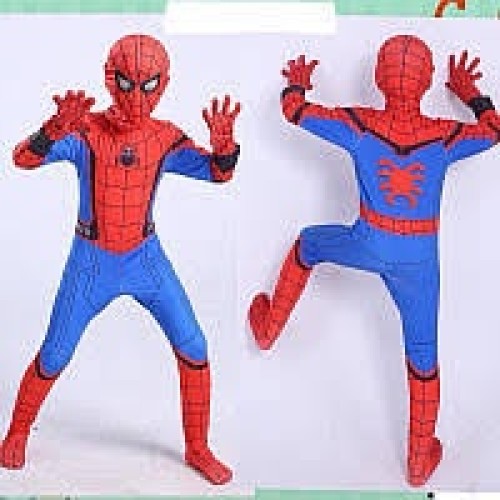 Spiderman Costume Blue