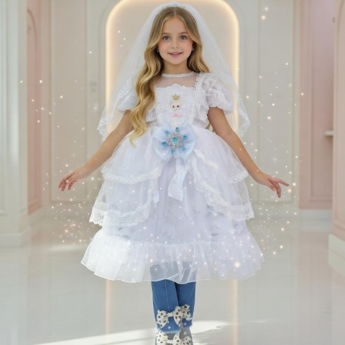 Elsa Princess Dress