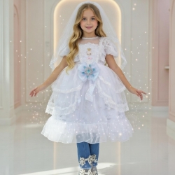 Elsa Princess Dress
